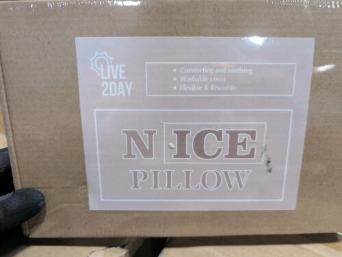 Four boxes N ICE