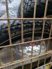 Rolls of ROMEX, industrial/automotive, tires, car parts, badger series bike tire, large valve, DOBINSONS, & More - 6
