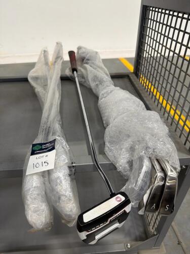 5 Golf Irons and 1 putter