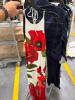 15 pieces of Alice & Olivia Clothing - 28