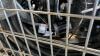 Rims, cable, car parts, sway arms, snake, & More - 9