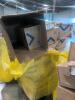 Big box store in boxes: Kleenex, bath tissue, green tea, cups , apple juice and bar - 5