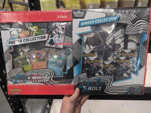 Pokemon scarlet and violet two pack poster and binder collection