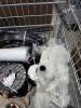 Large rim, wire, strapping material, automotive parts, and & More - 3
