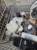 Large rim, wire, strapping material, automotive parts, and & More - 7