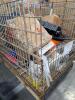 Industrial/automotive, tires, clutch parts, car parts, brackets, shocks, & More - 4