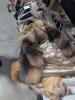 9- winter fur New York jackets - 10