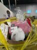 Big box store in the box: clothing, old spice, soap cleaner, popcorn, shampoo, diapers, simply magic, huggy diapers, Kleenex, inflatable, & More - 5