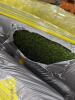 Rugs and rolls of turf - 6