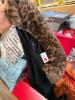 Clothing: new balance, Amazon style clothing, wonder nation, Joseph about, BOMBAS, ROTHYS, Adidas, Kelly and Katie, Elsie, numbers mark, dress shoes,the SAUCONY,)GAC, savage Fenty, CCVOO, LOVE, & More - 8
