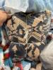 Projection screen, STAYKATION blankets, linens, books, 3-D printed item, & More - 4