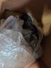 Snow machine take out containers, Duck collection, Similac bottles, bags, ball jars, mailbox, igloo cooler & More - 3
