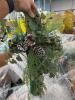 Christmas deer, holiday decor crosses, undergarments, umbrella PAD, blinds, Funko pop, & More - 3