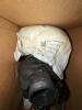 Pulsar pump 79214 - 6