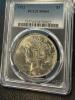 1922 Silver Peace Dollar PCGS MS64