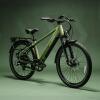 electric ebike, bun xpress - 2