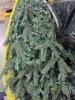 Christmas tree hopefully complete - 2