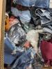 Clothing, cloat, reiss, New York Yankees hats, Jansport backpack, wallet, almost famous clothing, kids puffy coats, tons of almost famous shorts, Russell athletic and much more - 6