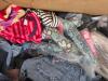Clothing, cloat, reiss, New York Yankees hats, Jansport backpack, wallet, almost famous clothing, kids puffy coats, tons of almost famous shorts, Russell athletic and much more - 9