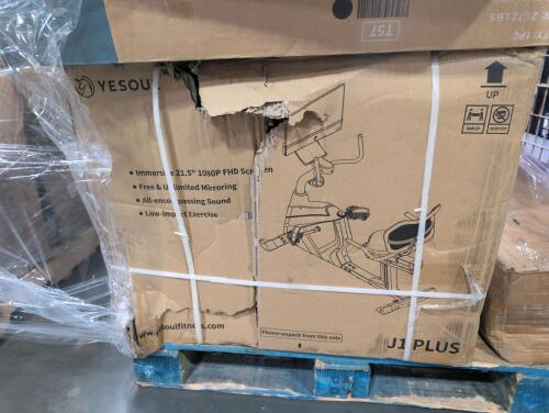 (2) rolled mattresses, exercise bike, outdoor wicker style chair and more