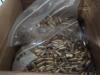 boxes full of miscellaneous ammo - 9