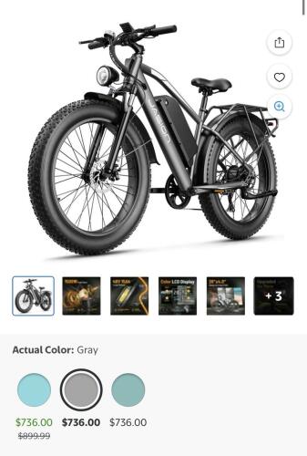 Jasion EB5 max e bike gray