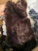 Clothing: costume, and Klein shoes, JFW, Ohio State bedazzled shirt box of, STOOSH coats, lenses, ERIAK, & More - 7