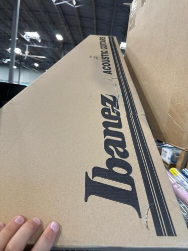 Ibanez guitar