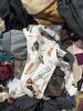 Clothing, cakes, Uniqlo, puma, lands End, fat face, scenario, NFL team apparel, Philadelphia eagles sweatshirts, Halloween costumes, work gloves, kaiia and more - 10