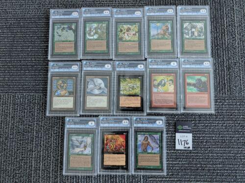 13 graded magic cards