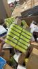 Miscellaneous pallet, scrubbing pads, aroma diffusers, silicone shelf, & More - 8