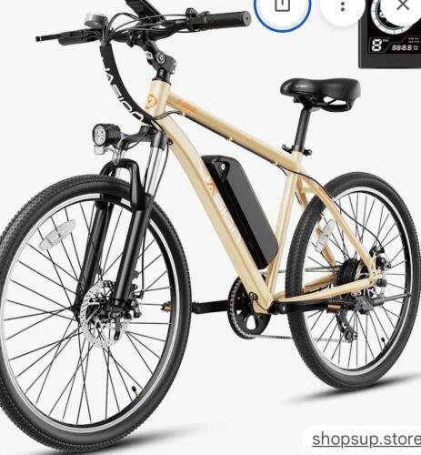 JASION EB5 e bike