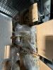 misc bullets, shells, 9, 45, 12 gauge, and much more - 3
