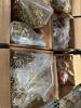 miscellaneous boxes of ammunition, 223, 9 mm, 12 gauge, and others - 2
