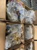 miscellaneous boxes of ammunition, 223, 9 mm, 12 gauge, and others - 3