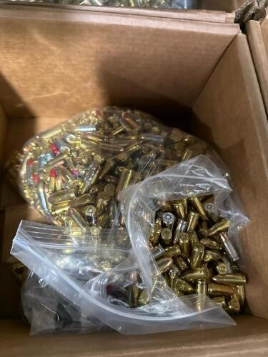 shelf of 12 gauge shells, 9 mm, another miscellaneous rounds