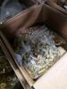 misc box of 9, shotgun, 45, 40 and more - 3