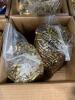miscellaneous boxes of ammo, 22, 9 mm, 12 gauge, and more