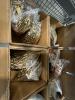 miscellaneous boxes of ammo, 22, 9 mm, 12 gauge, and more - 4