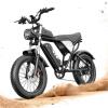 K20 Lite e bike