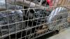 Industrial/automotive, exhaust, parts, suspension, & More - 10