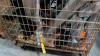 Industrial/automotive, Klein tools part, hitch attachment, exhaust, blades, & More - 10