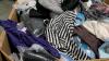 Clothing: away, Fabletics, waxed jeans, Carhartt, garage, members Mark, Guy Harvey, glasses, thread & supply, adidas, maamagic, panhandle slim, and more - 6
