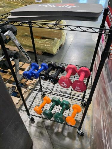 rolling rack with weight and abdall