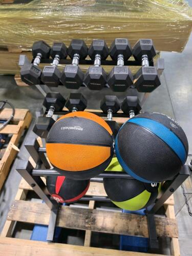 rack of dumbbells and medicine balls