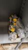 Mega Bulk Lot of Nuts/Bolts/Shelving contents - 51