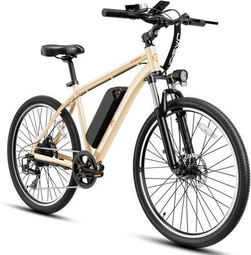 JASION EB5 bike