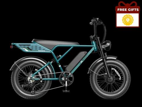 JASION RetroVolt pro e bike