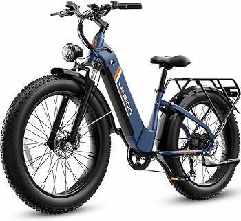 JASION thunder E bike dark blue