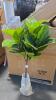 Boxes, FAUX plant, chair, furniture, large sphere, and more